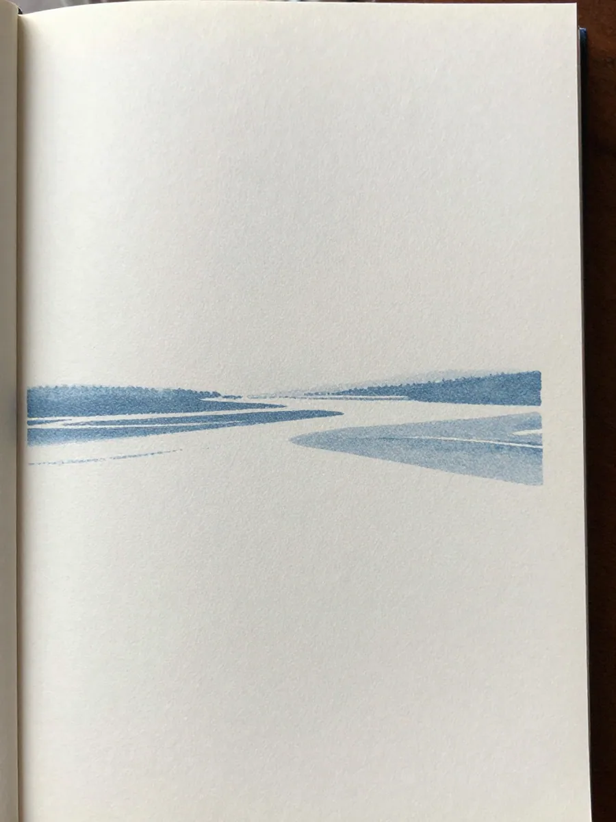 The Salt Line by Ines Verrall: cover
